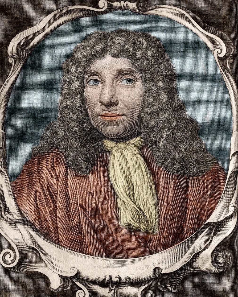 Anthony Van Leeuwenhoek lub Anton van Leeuwenhoek lub Leeuvenhoek lub Leeuwenhoeck. Holenderski przyrodnik (1632-1723). Grawerowanie z XVIII wieku autorstwa Unknown artist