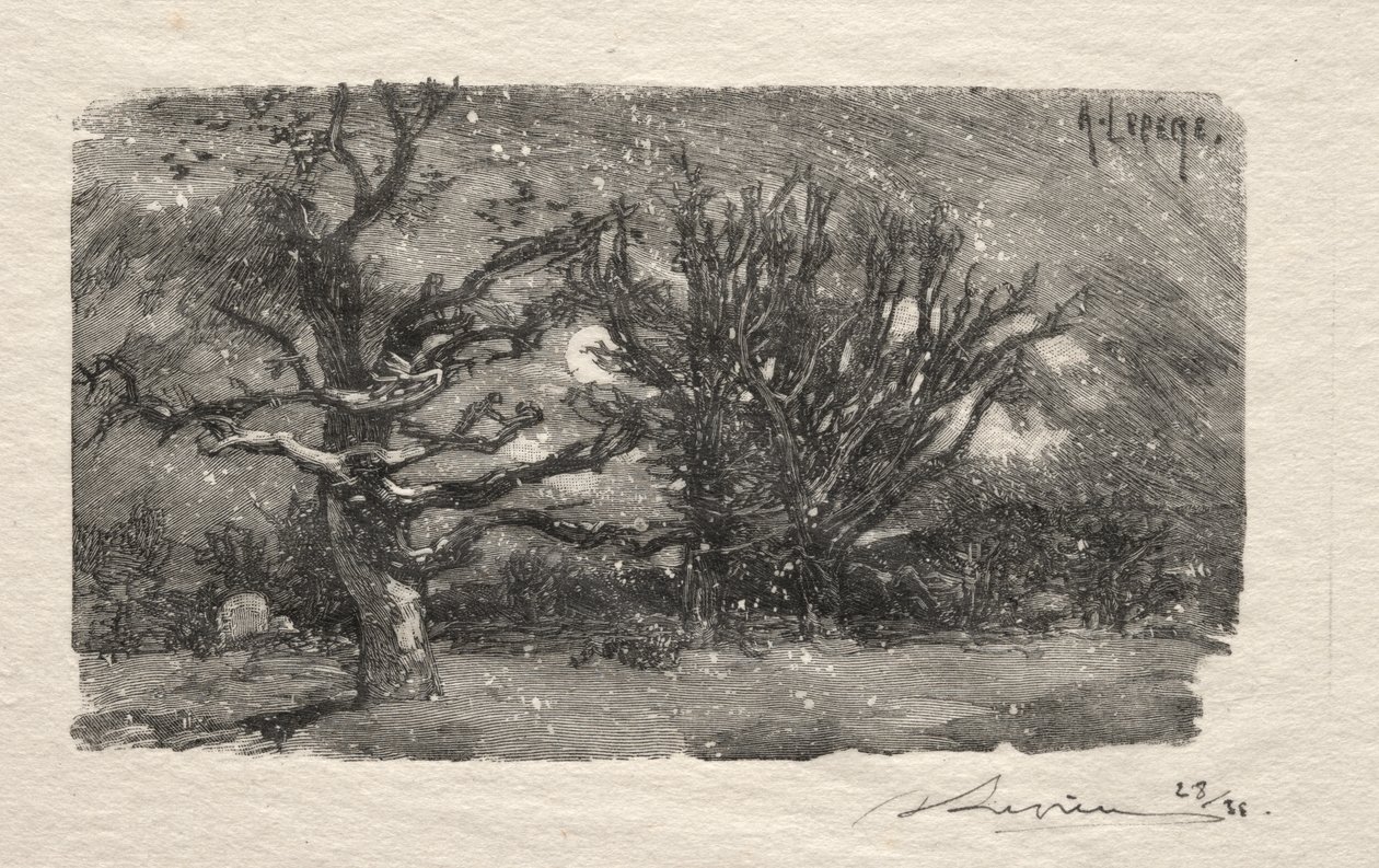 Mają akademiki Lantara autorstwa Unknown artist