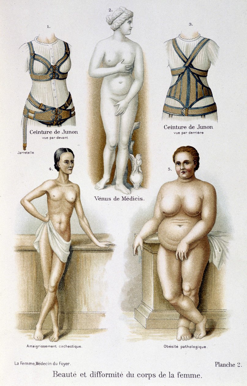 Piękno i deformacja kobiecego ciała (chudość i otyłość); Pasy Juno - w filmie „Kobieta, lekarz domowy”” autorstwa Unknown artist