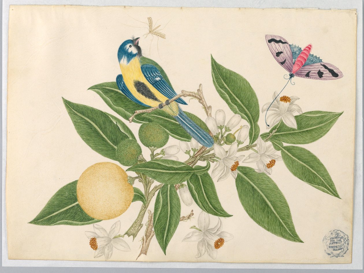 Ptak na pomarańczowej gałęzi z motylem autorstwa Unknown artist