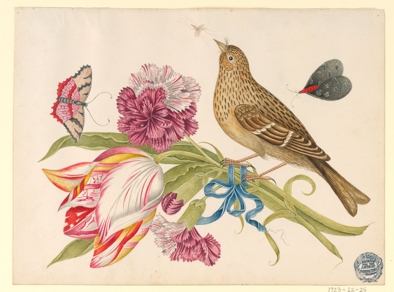 Ptak z tulipanem, goździkiem, motylami i owadem autorstwa Unknown artist