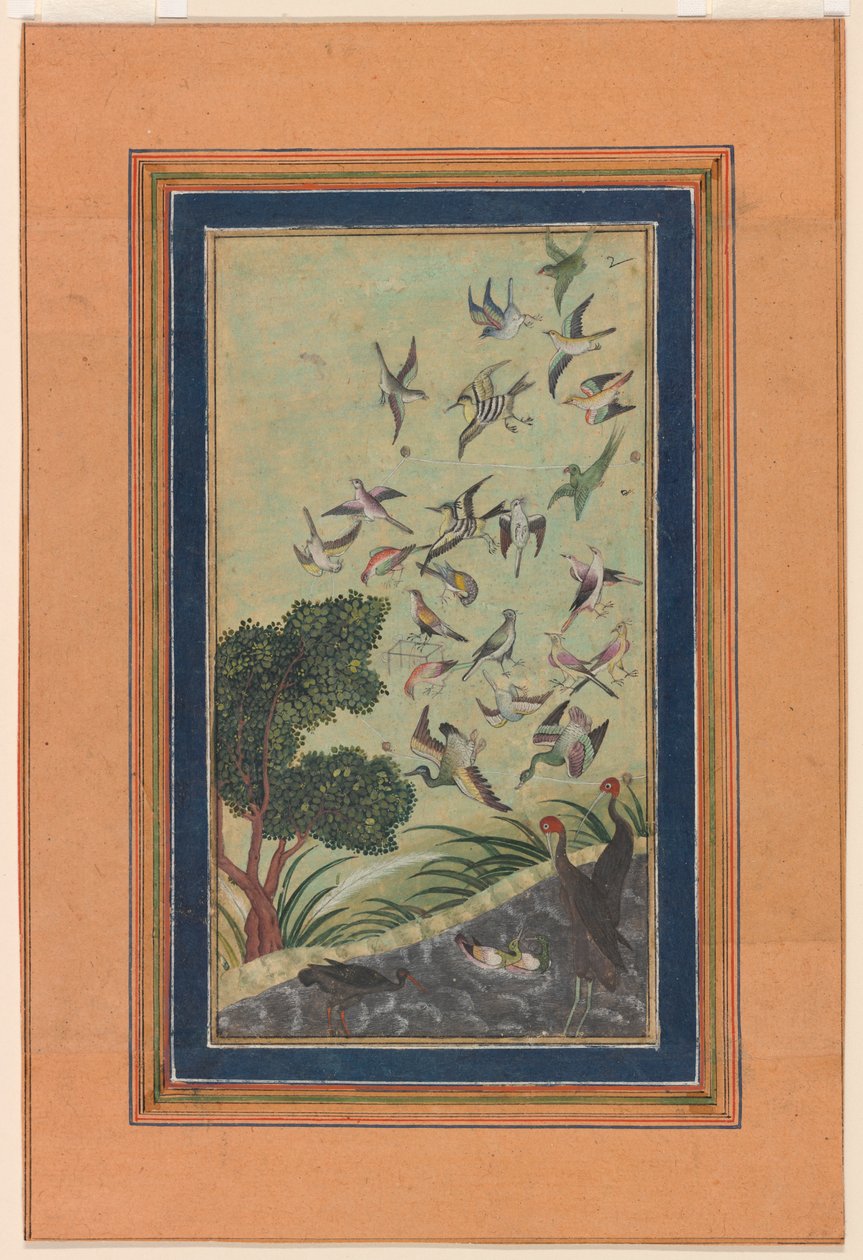 Ptaki w Baran, prawdopodobnie z Babur-nama autorstwa Unknown artist