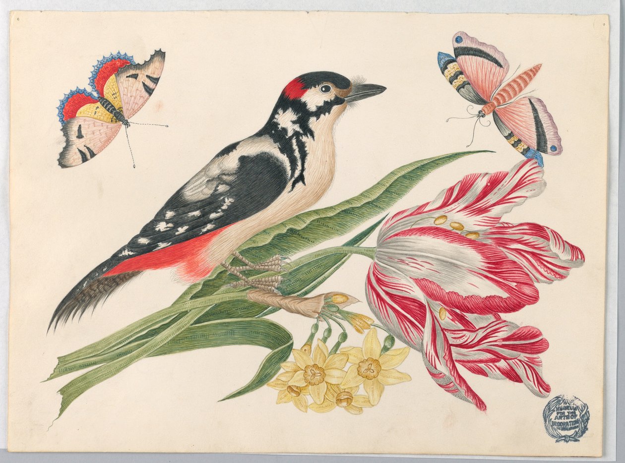 Czarno-biały cętkowany ptak na łodydze tulipana, z żonkilami i motylami autorstwa Unknown artist