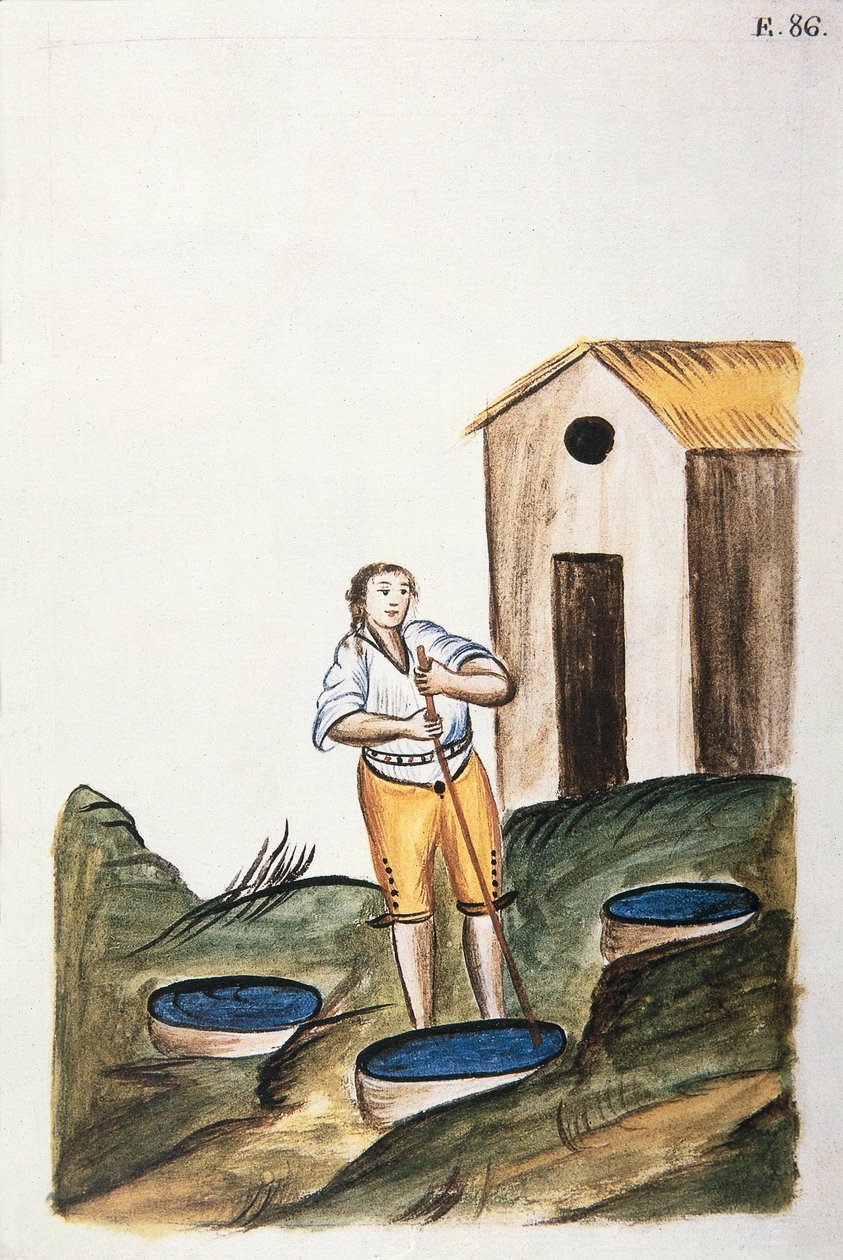 Niebieska taca do farbowania wełny, z książki „Trujillo of Peru” lub „Codex Martinez Companion”, autorstwa Baltazara Martineza Companion i Bujanda, biskupa Trujillo (1782-1785) autorstwa Unknown artist