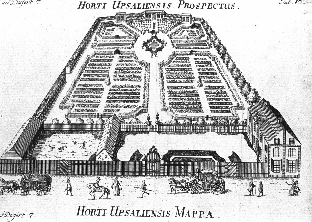Ogród Botaniczny - perspektywa i plan HORTI UPSALIENSIS. autorstwa Unknown artist