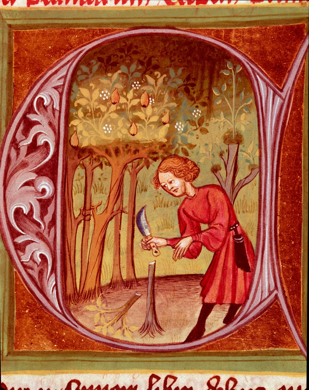 Botaniczny: ogrodnik uprawiający przeszczep. Miniatura zaczerpnięta z „Rustican czyli Księga o wsi i zyskach wiejskich” (Rerum ruralium commodorum) autorstwa Pietro de Crescenzi (Crescent Stone lub Crescens Stone) (1233-1320) XIV-wieczna Praga, Biblioteka  autorstwa Unknown artist