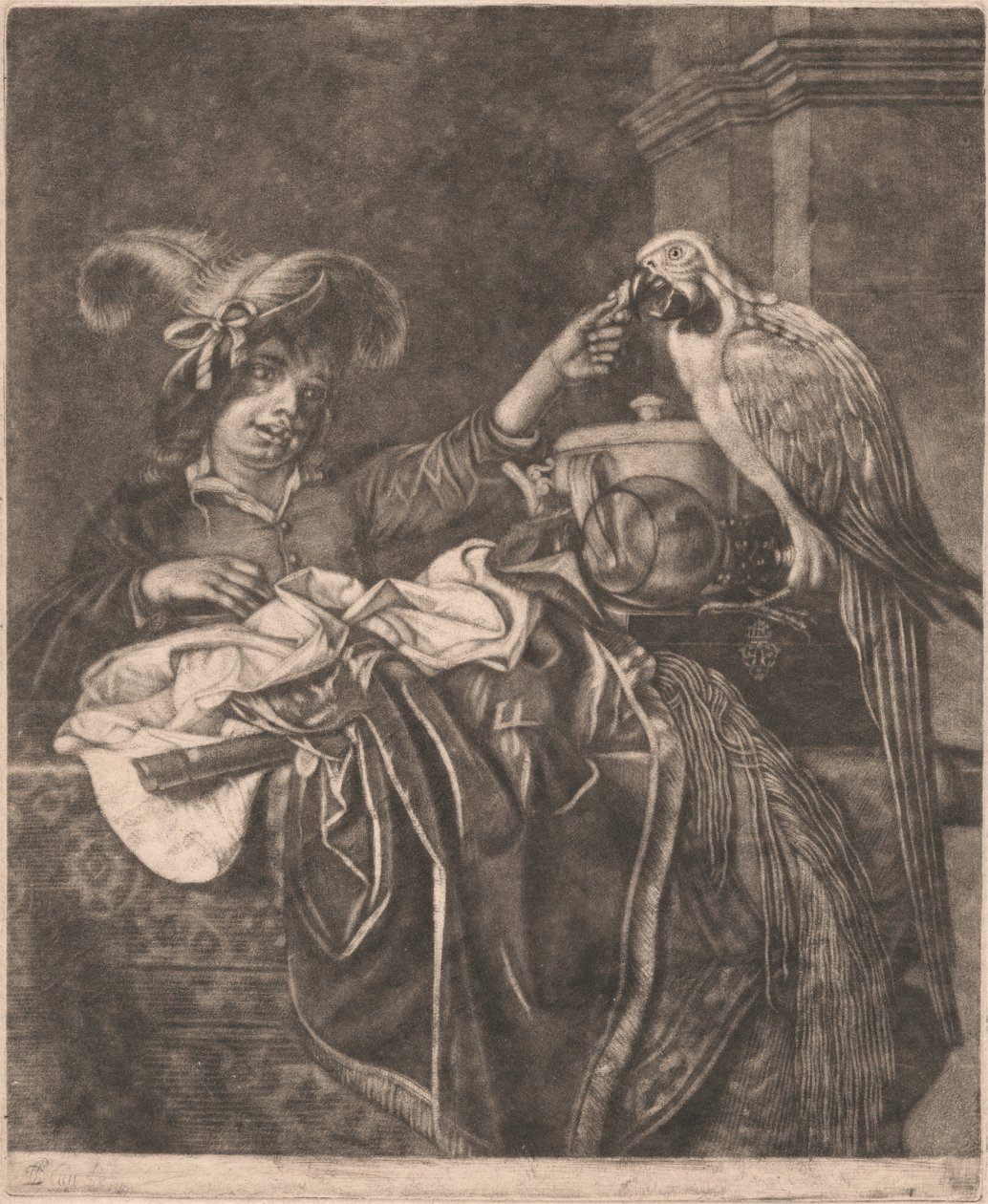 Chłopiec i papuga autorstwa Unknown artist