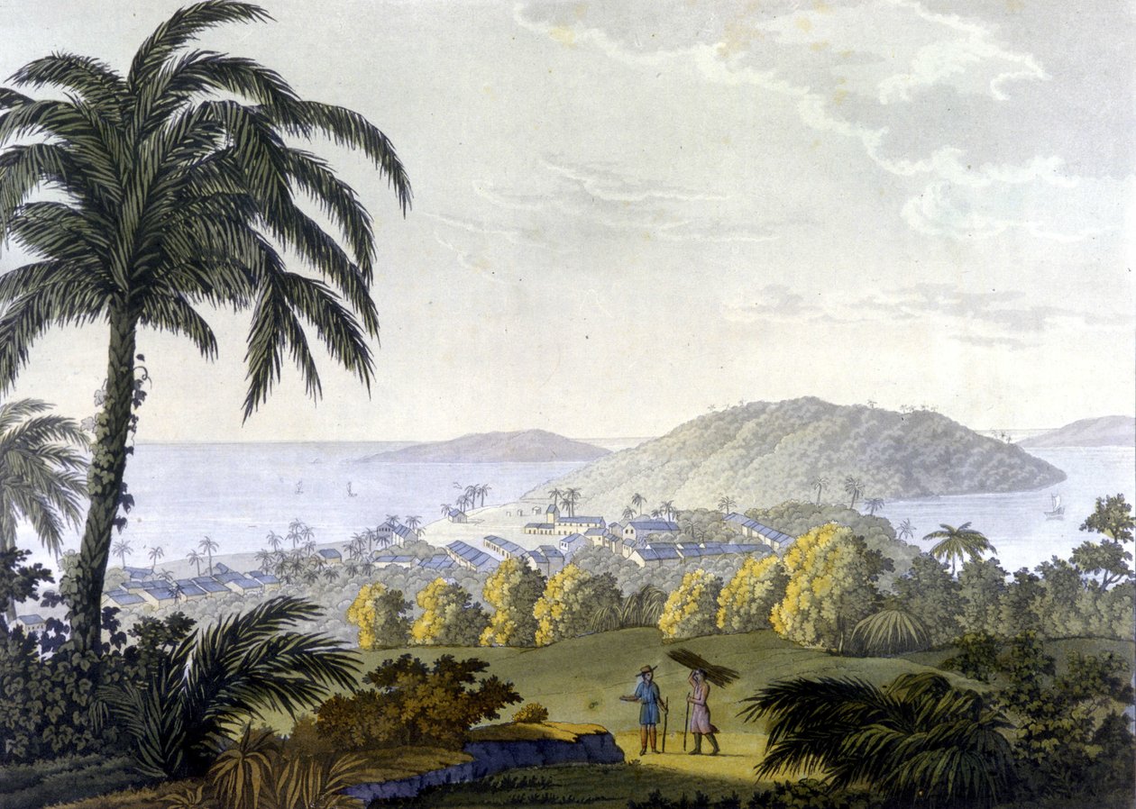 Brazylia, widok miasta Ilheus w stanie Bahia autorstwa Unknown artist