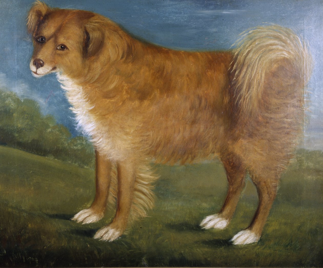 Brązowy pies w krajobrazie, ok. 1850 (olej na płótnie) autorstwa Unknown artist