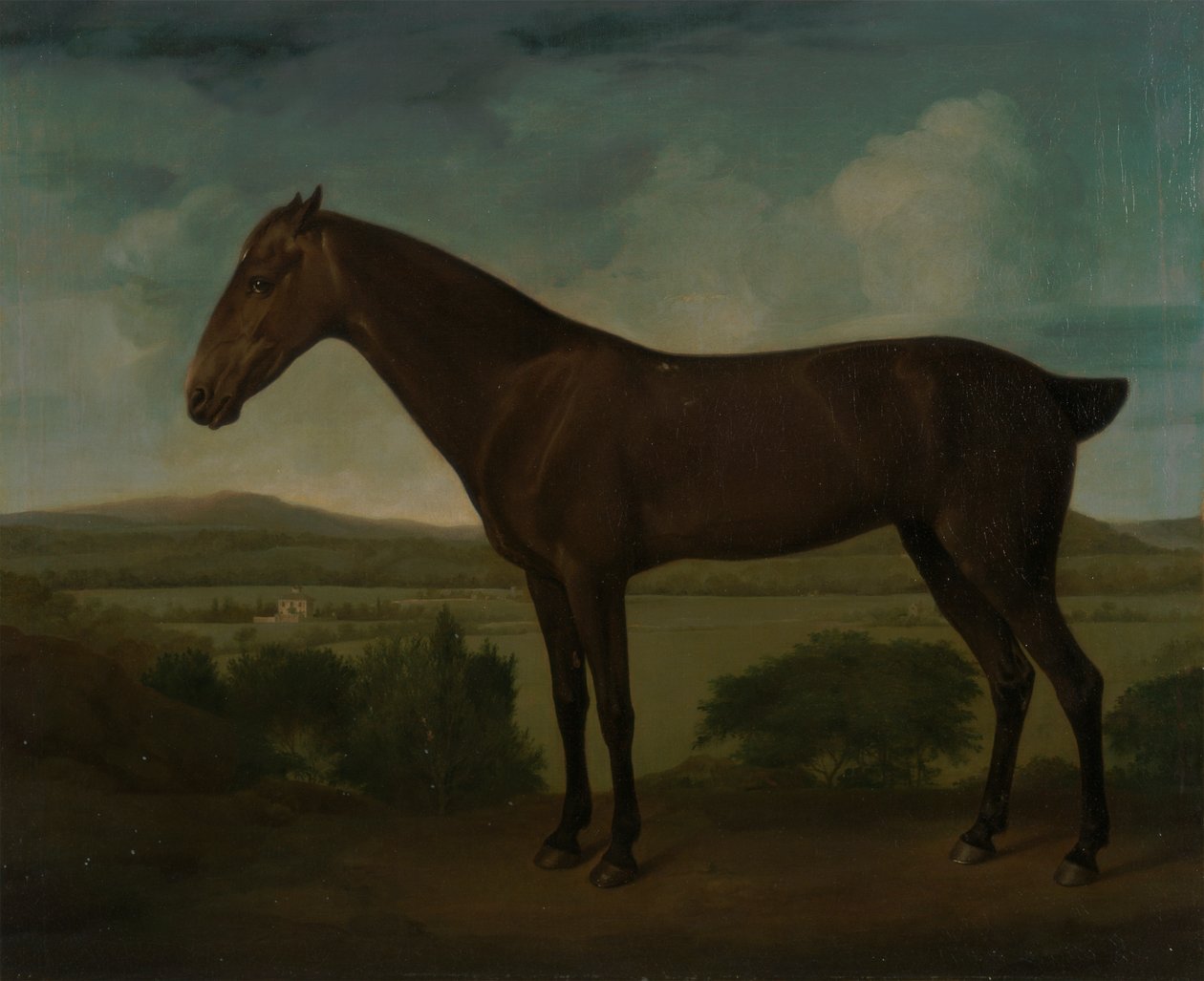 Brązowy koń w pagórkowatym krajobrazie autorstwa Unknown artist