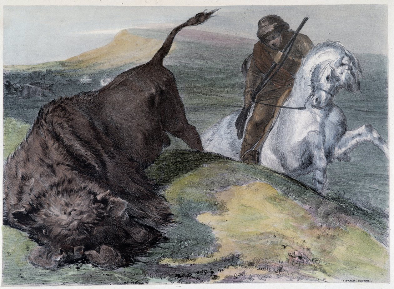Kanadyjski Huron Buffalo Hunt - w „Szkicach Shytha w Kanadzie” Coke Smyth, Londyn autorstwa Unknown artist