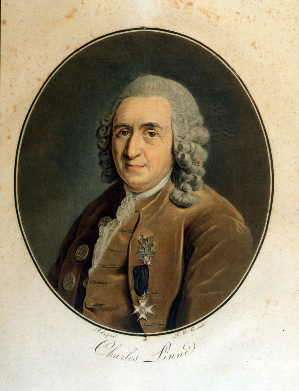Carl Von Linné szwedzki przyrodnik i pisarz (1707 - 1778) autorstwa Unknown artist