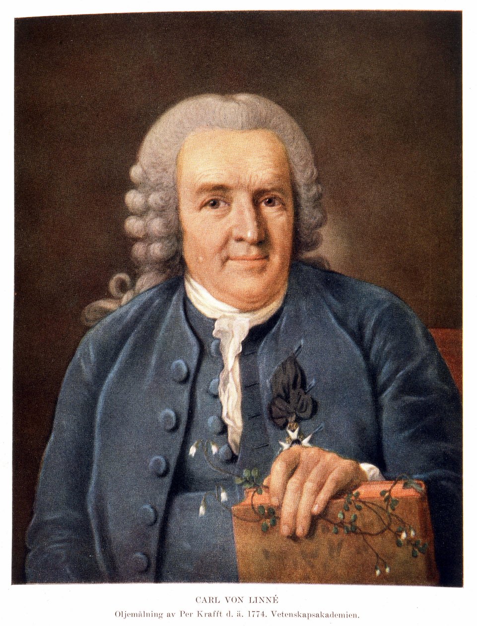 Carl Von Linné Szwedzki przyrodnik i pisarz autorstwa Unknown artist