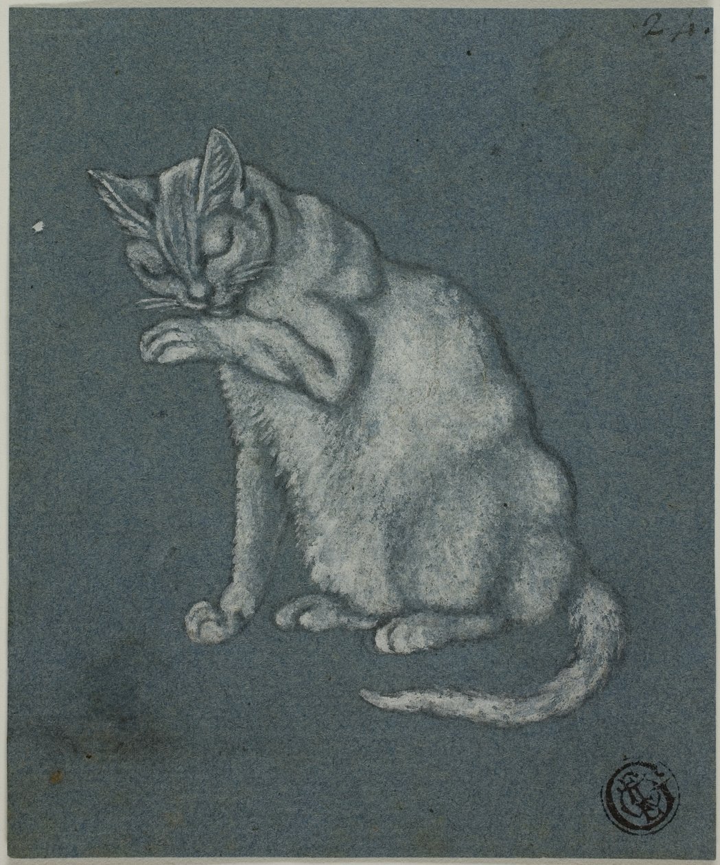 Łapa Lizanie Kota autorstwa Unknown artist