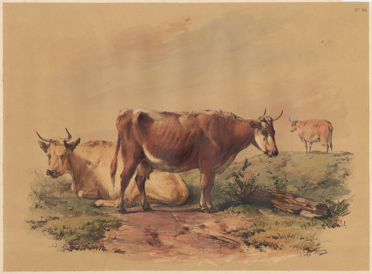 Bydło autorstwa Unknown artist