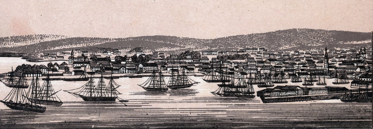 Christiania, Dania: widok na miasto (widok ogólny). w „” Świat ilustruje 168 odsłon”” Niedatowany (koniec XIX wieku) autorstwa Unknown artist