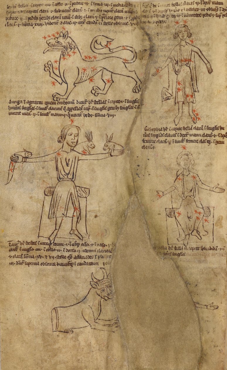 Diagramy konstelacji autorstwa Unknown artist