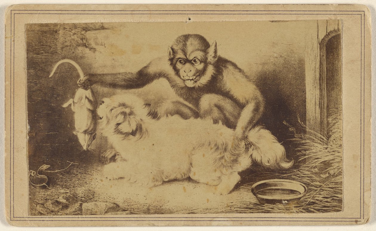 [Kopia obrazu przedstawiającego małpę trzymającą szczura za ogon przed małym białym psem]. autorstwa Unknown artist