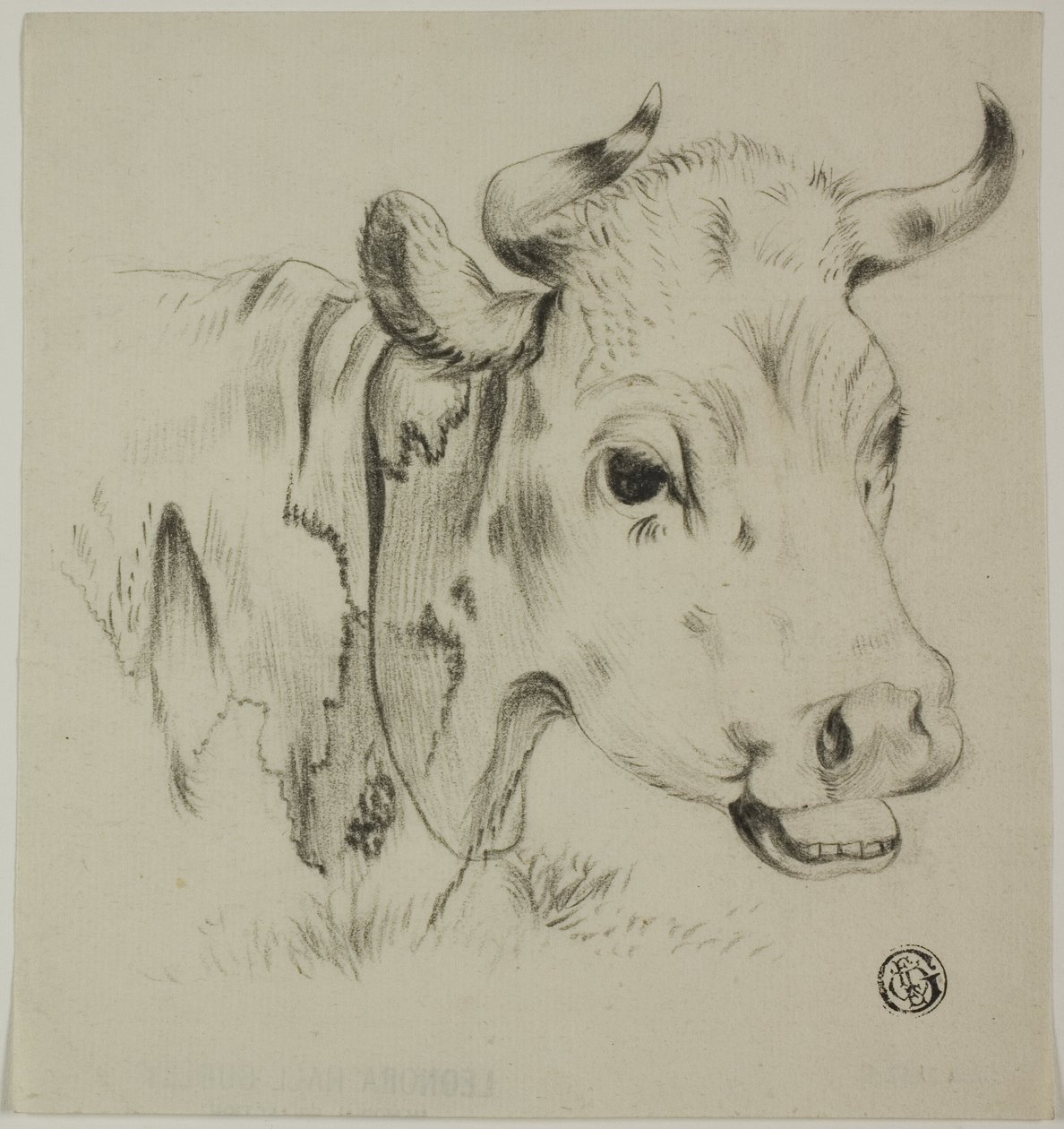 Głowa krowy autorstwa Unknown artist