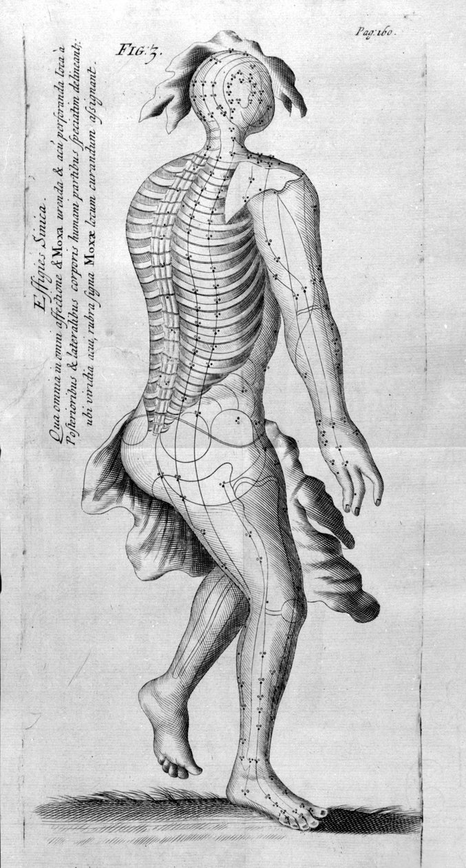 De Acupunctura autorstwa W.Ten Rhijn. Londyn 1683. Pierwszy zachodni tekst dotyczący akupunktury. autorstwa Unknown artist