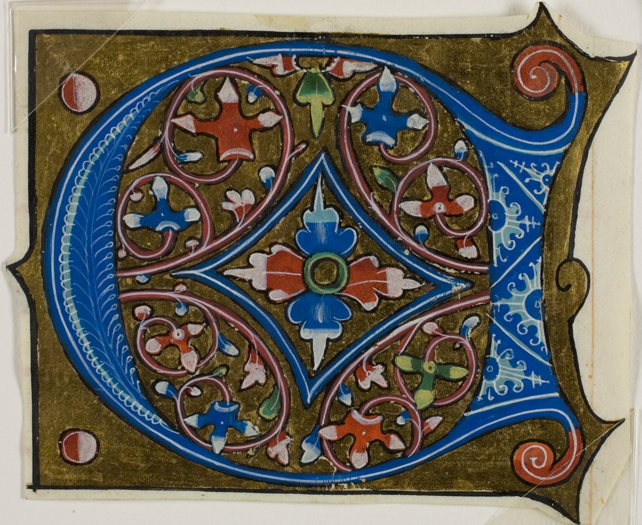 Zdobiony inicjał "D" z liśćmi i dwiema kulkami z książki chóralnej autorstwa Unknown artist