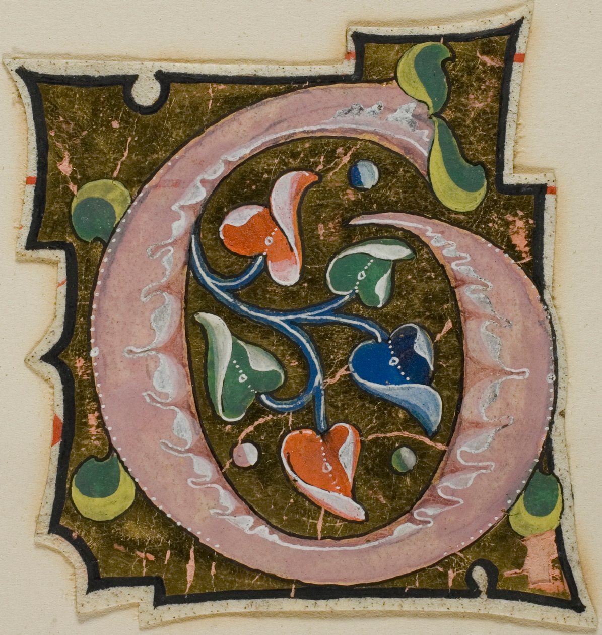 Zdobiony inicjał "G" w kolorze różowym z kręconymi liśćmi z rękopisu autorstwa Unknown artist