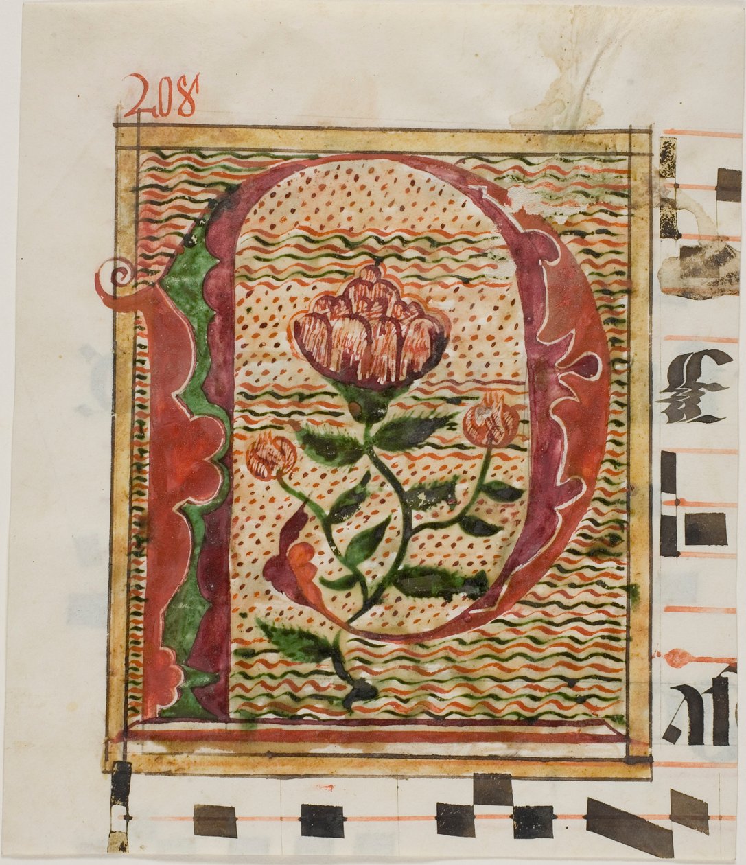 Zdobiony inicjał "P" z kwiatami z rękopisu autorstwa Unknown artist