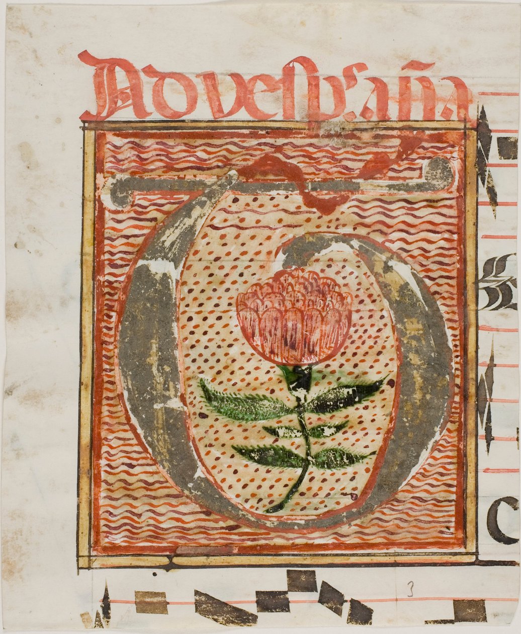 Zdobiony inicjał "T" z kwiatem z rękopisu autorstwa Unknown artist