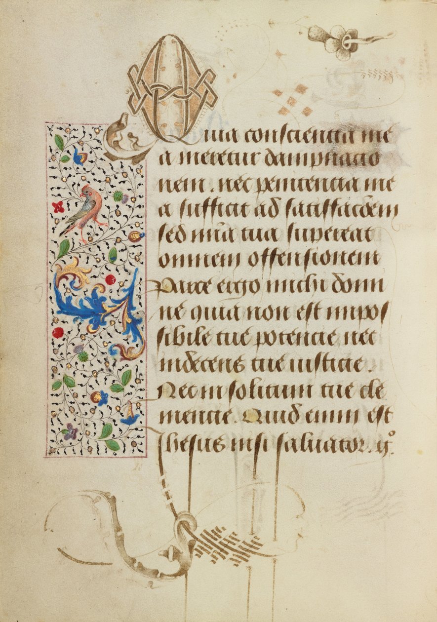 Ozdobiona strona tekstowa autorstwa Unknown artist