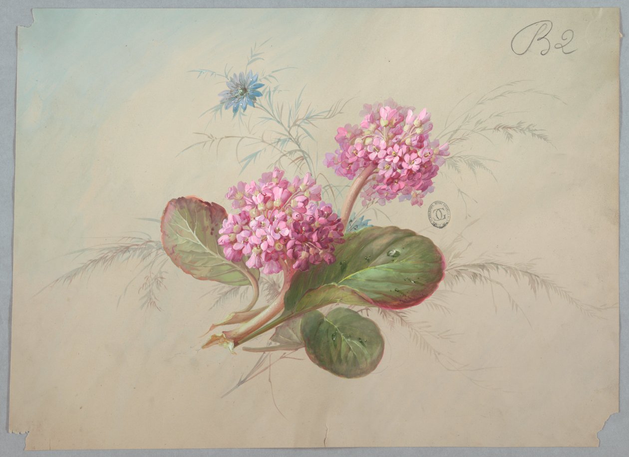 Projektowanie tapet i tekstyliów: kwiaty autorstwa Unknown artist