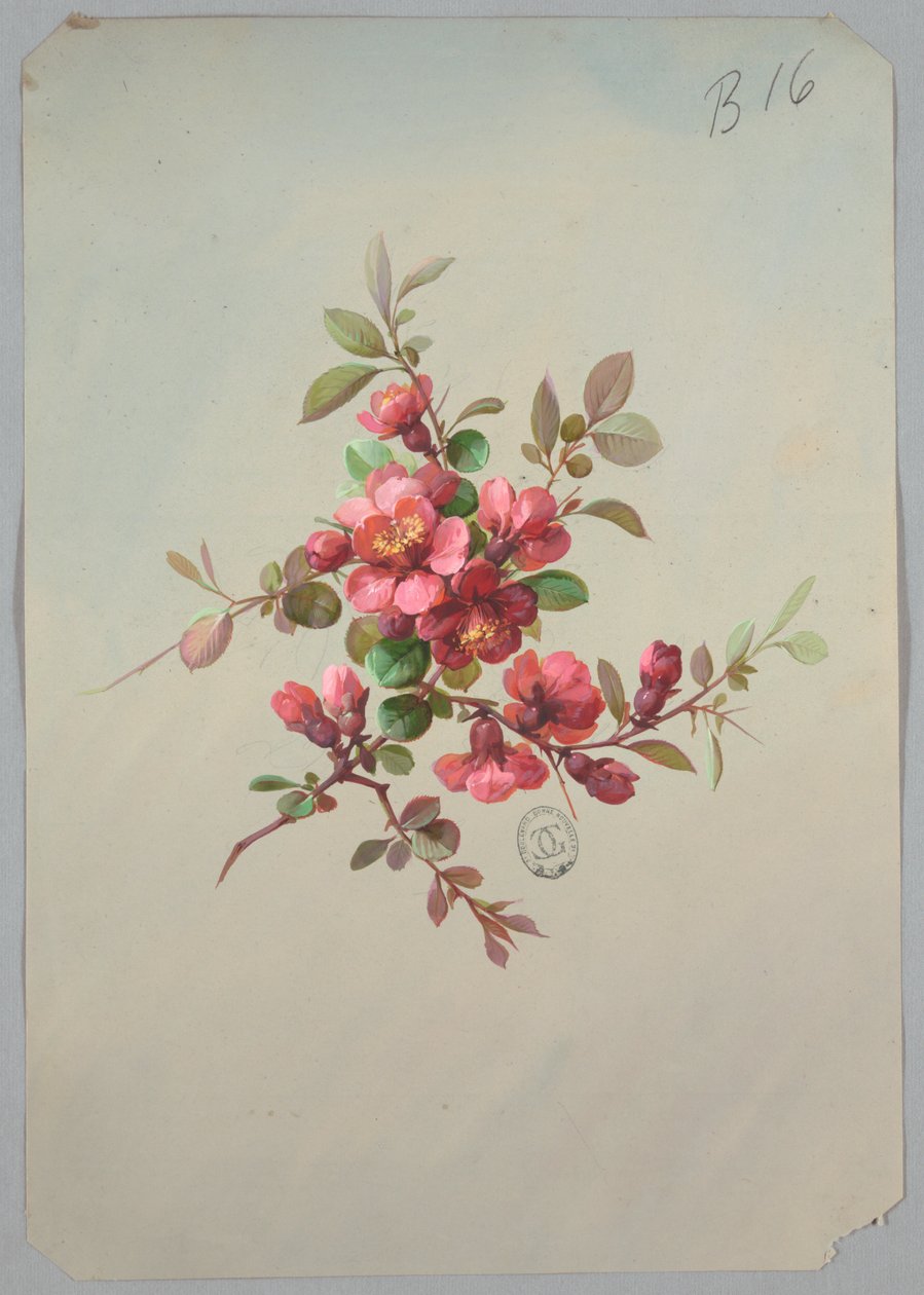 Projektowanie tapet i tekstyliów: kwiaty autorstwa Unknown artist