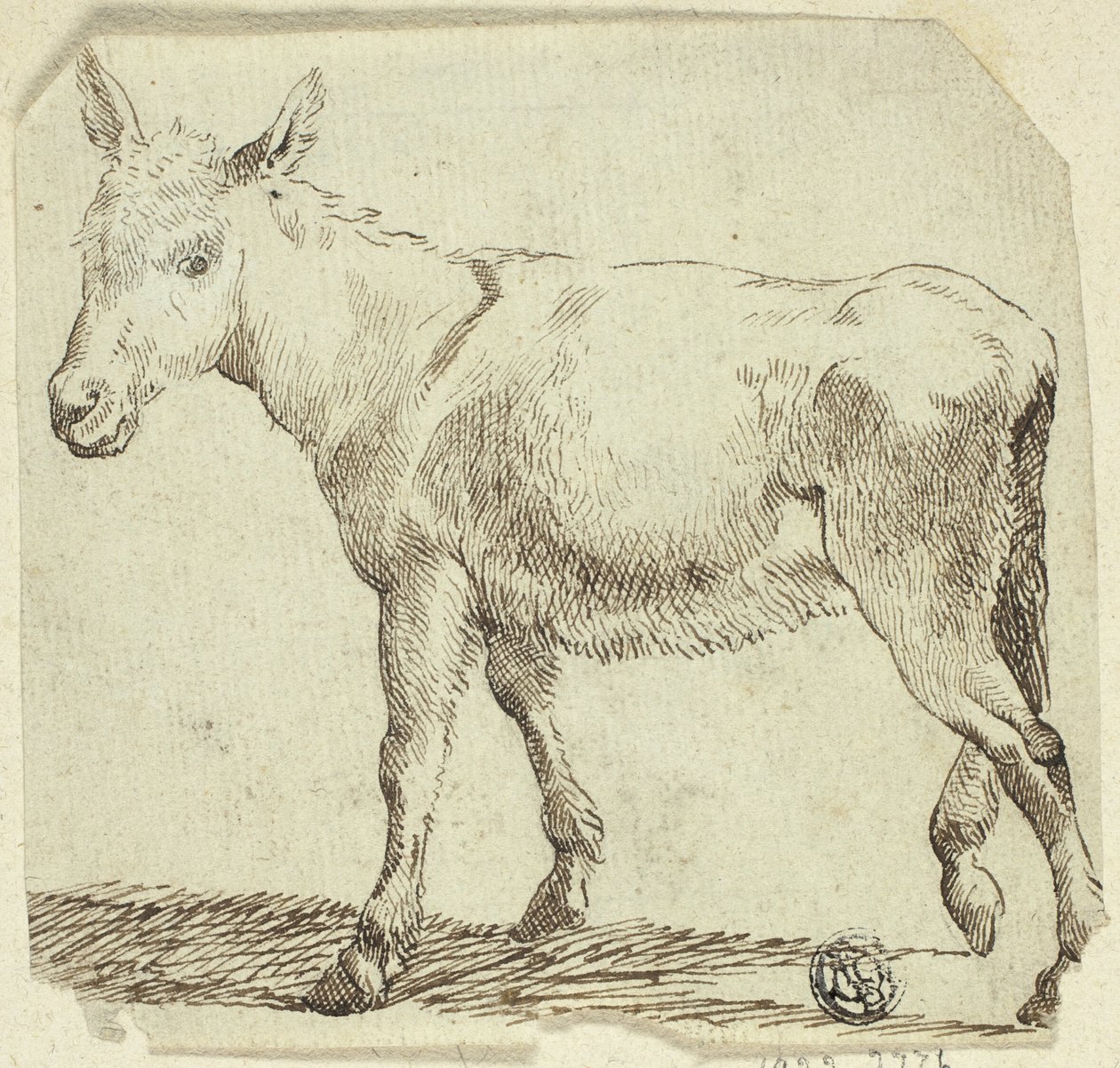 Osioł autorstwa Unknown artist