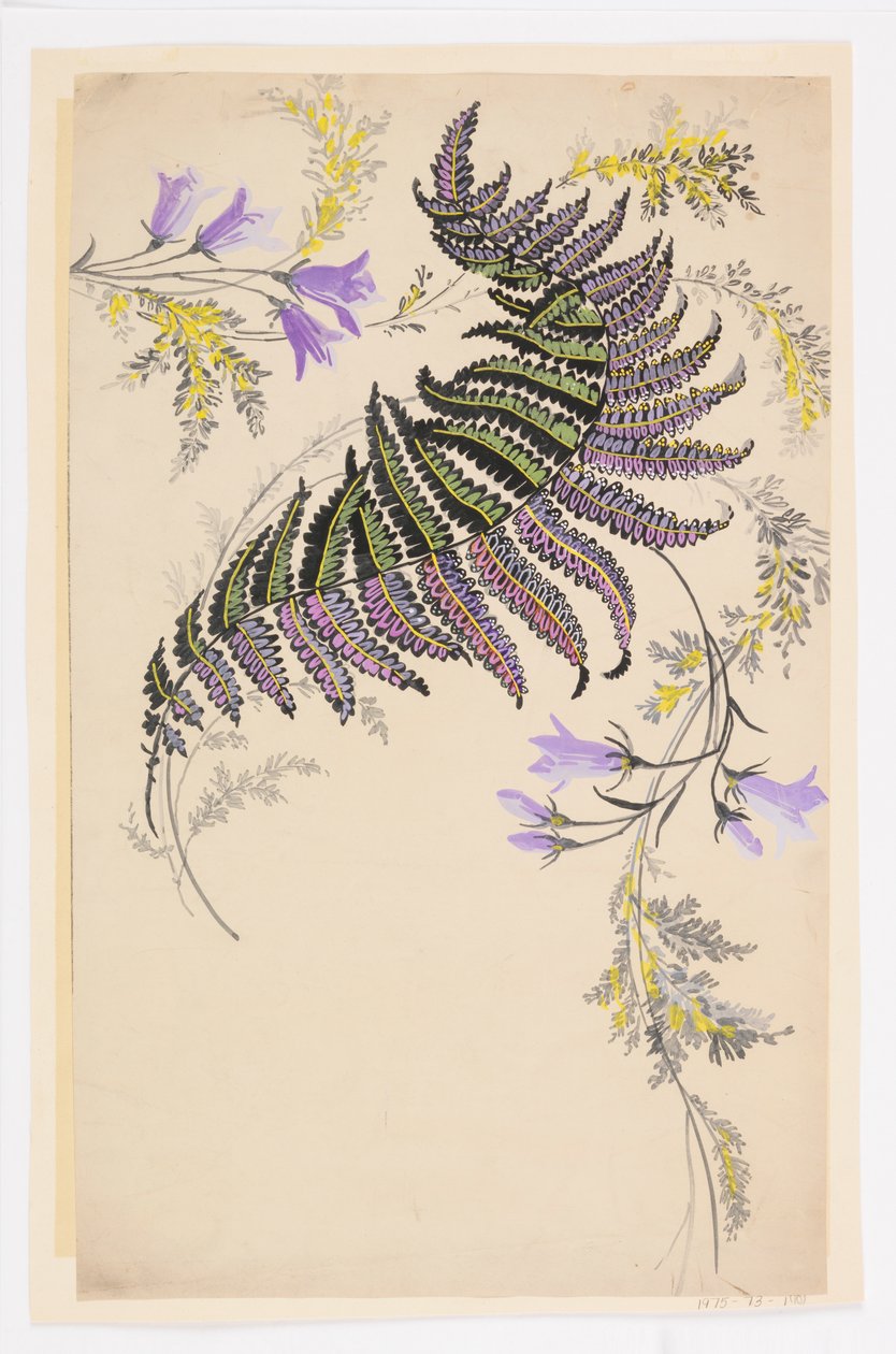 Rysunek autorstwa Unknown artist