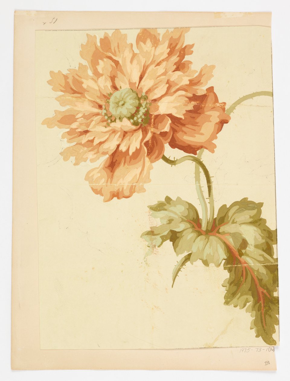 Rysunek autorstwa Unknown artist