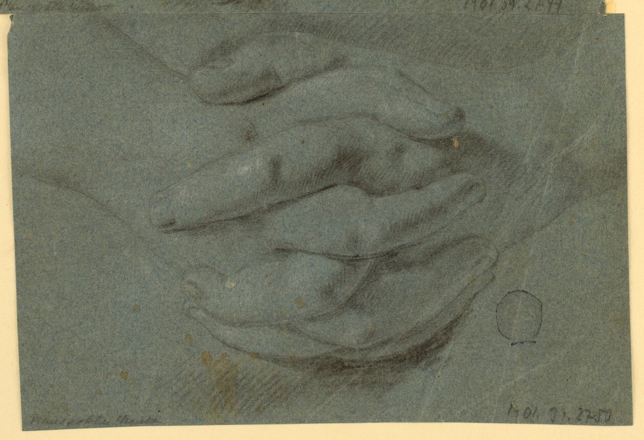 Rysunek: Studium na złożone dłonie autorstwa Unknown artist