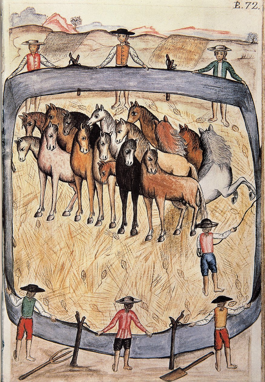 Ujeżdżenie dzikich koni, z książki „Trujillo del Peru” lub „Kodeks Martinez Companion”, autorstwa Baltazara Martineza Companion i Bujandy, biskupa Trujillo (1782-1785) autorstwa Unknown artist