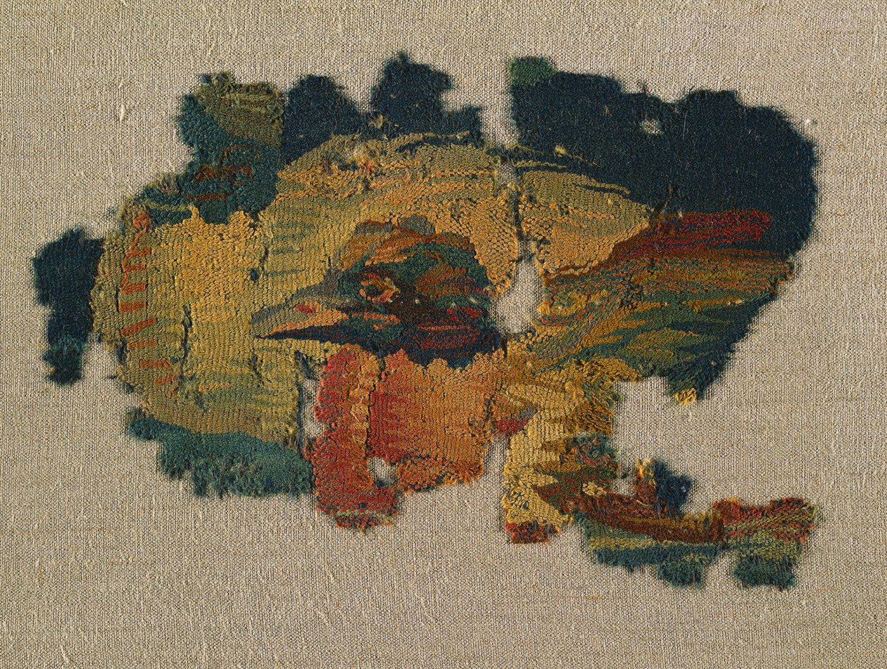 Głowa kaczki z dużej kurtyny autorstwa Unknown artist