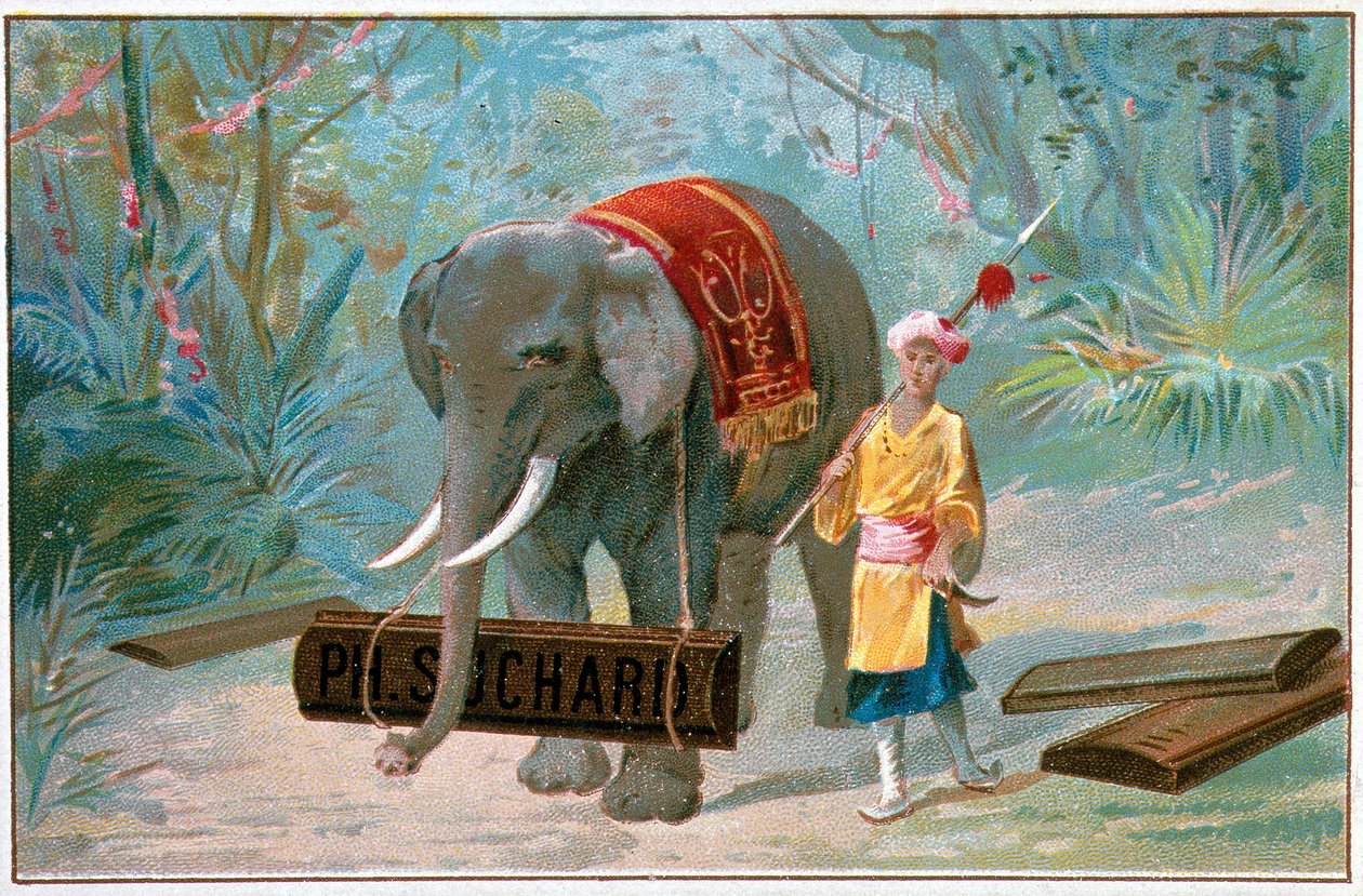 Słoń i Kornak, reklama „Suchard”, t. 1895 autorstwa Unknown artist