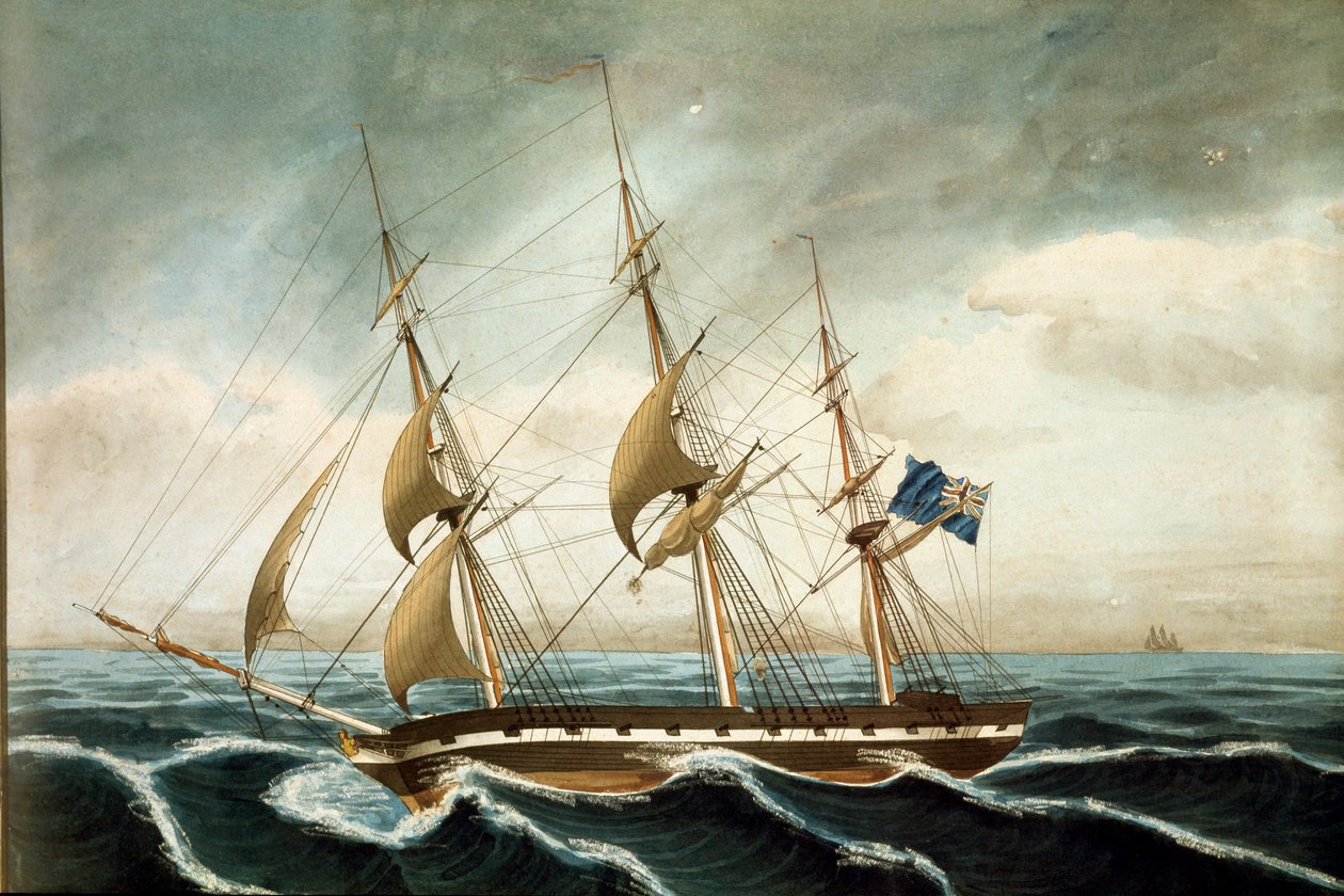 Korweta angielska (druk autorstwa Unknown artist