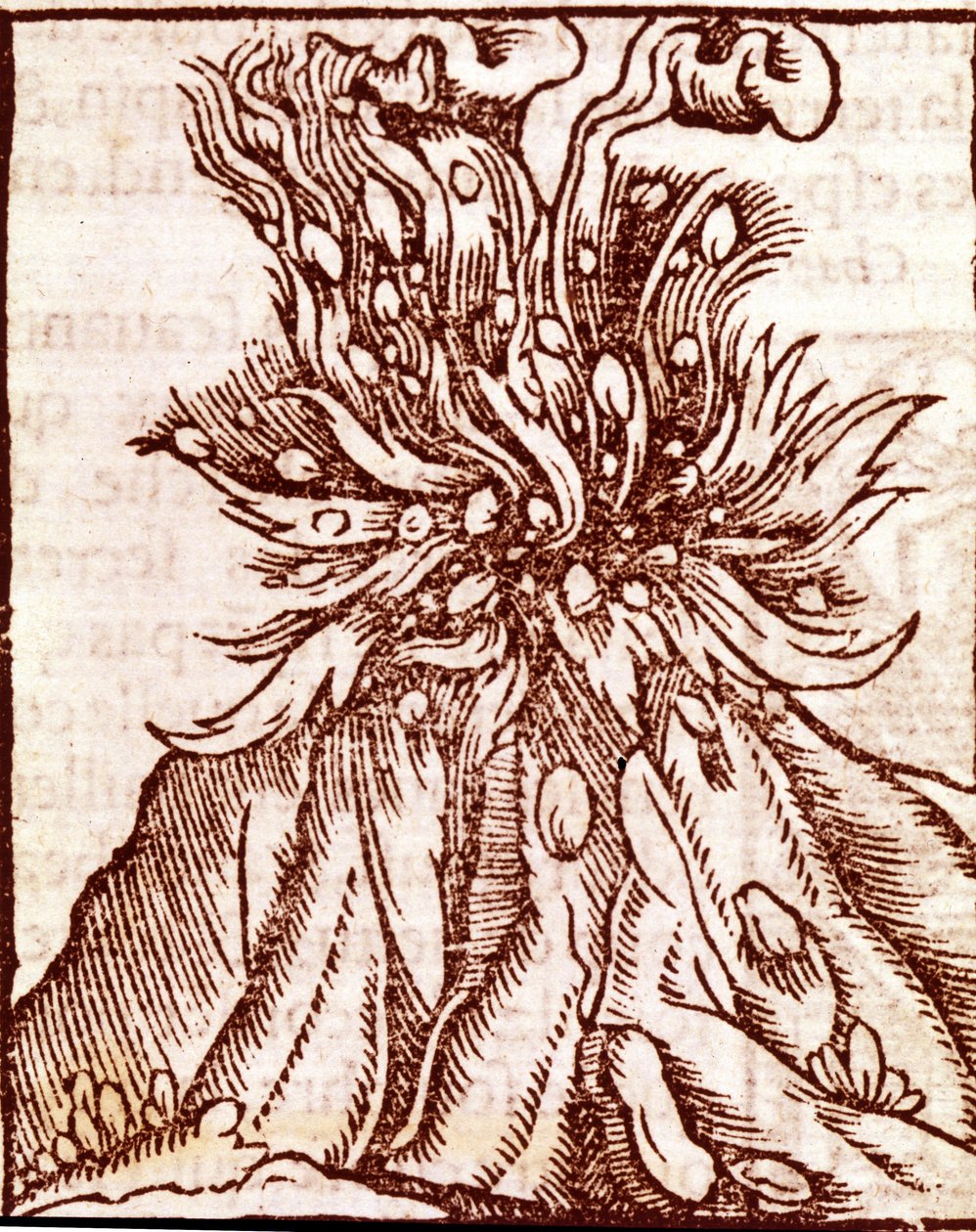 Erupcja wulkanu. Grawerowanie z XVI wieku. autorstwa Unknown artist