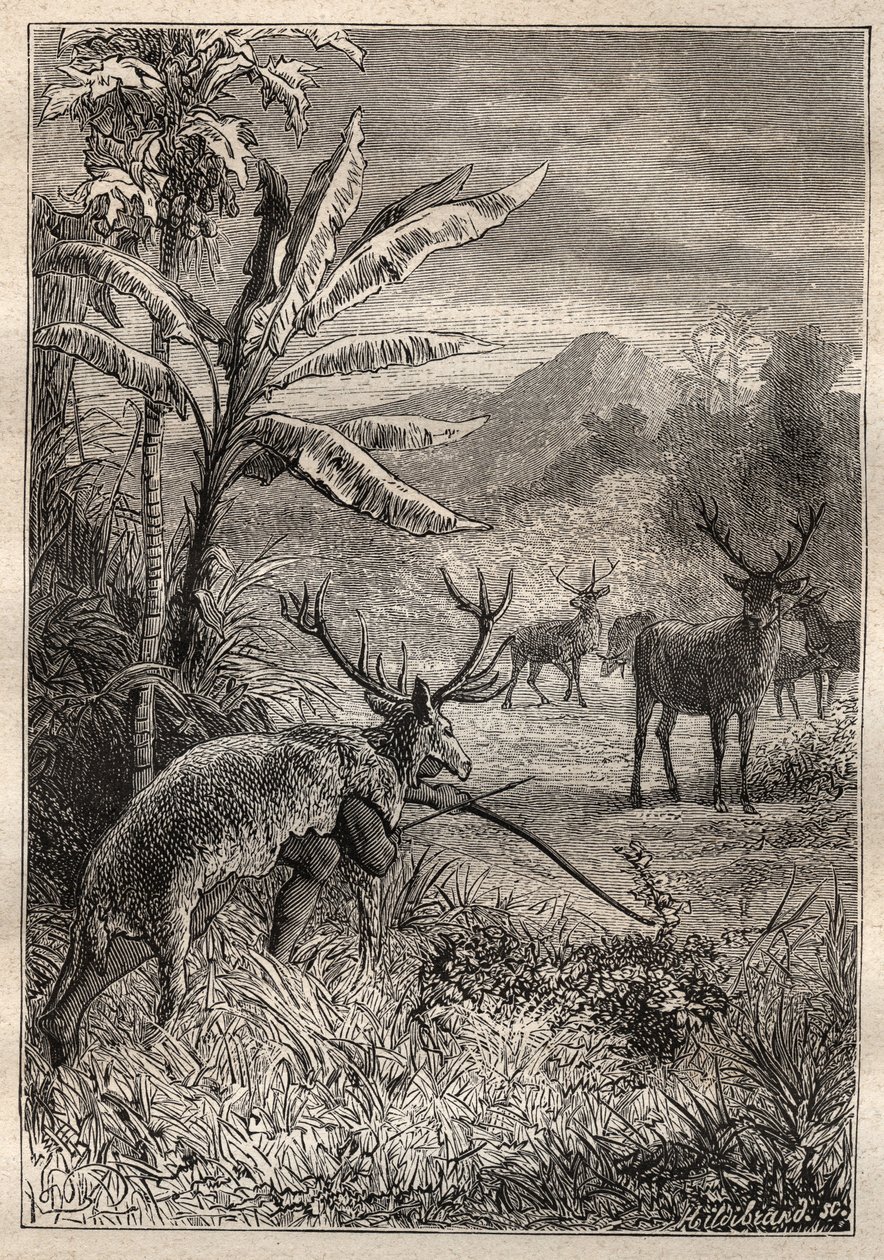 Ekspedycja dookoła świata (1785-1788) Jean Francois Galaup de La Perouse (1741-1788): technika polowania dla Indian z Zatoki Monterey (Kalifornia) - ilustracja z „Wielkich Marynarzy XVIII wieku” autorstwa Unknown artist