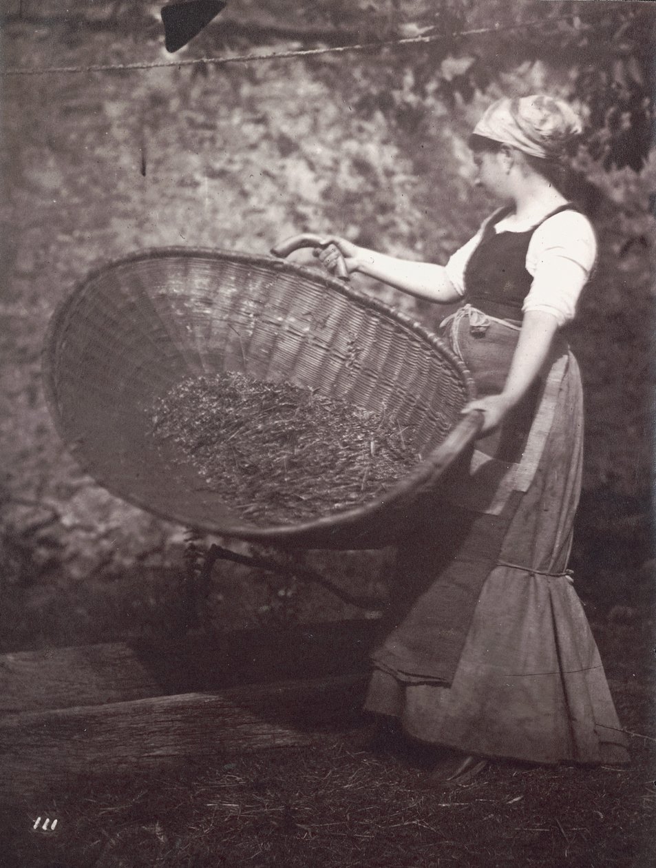[Chłopka z koszem do żęcia] autorstwa Unknown artist
