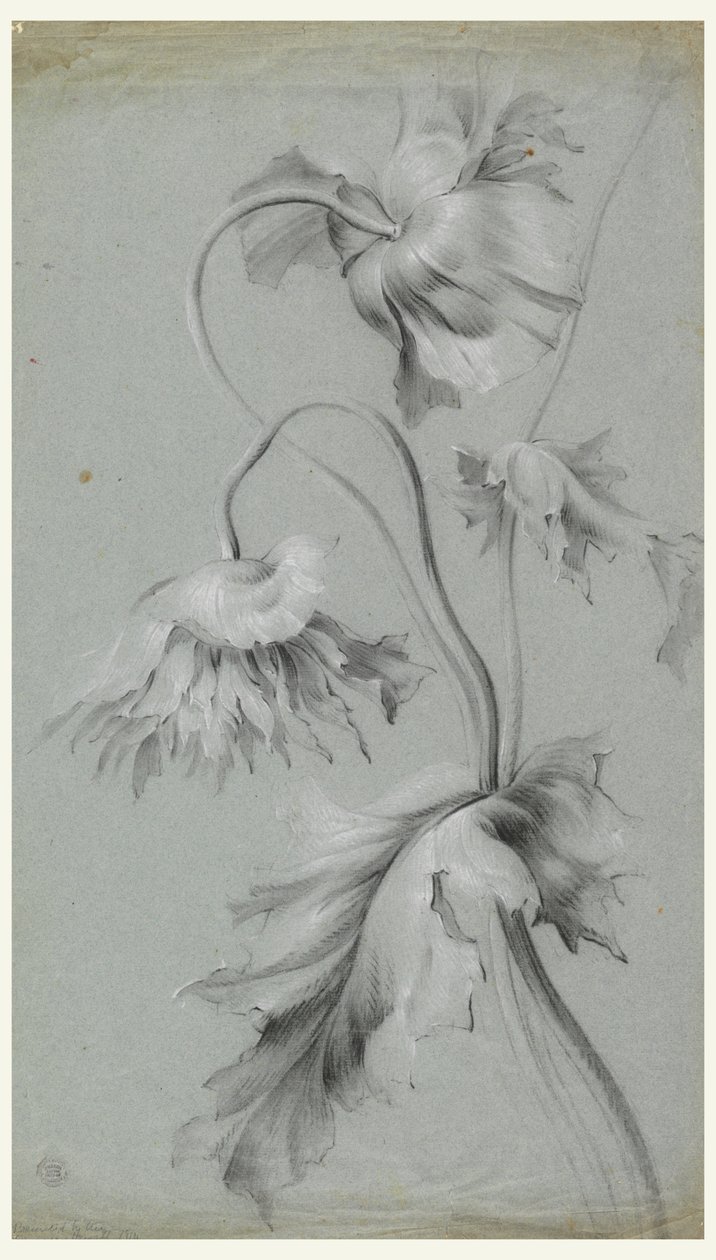 Kwiatowy wzór autorstwa Unknown artist