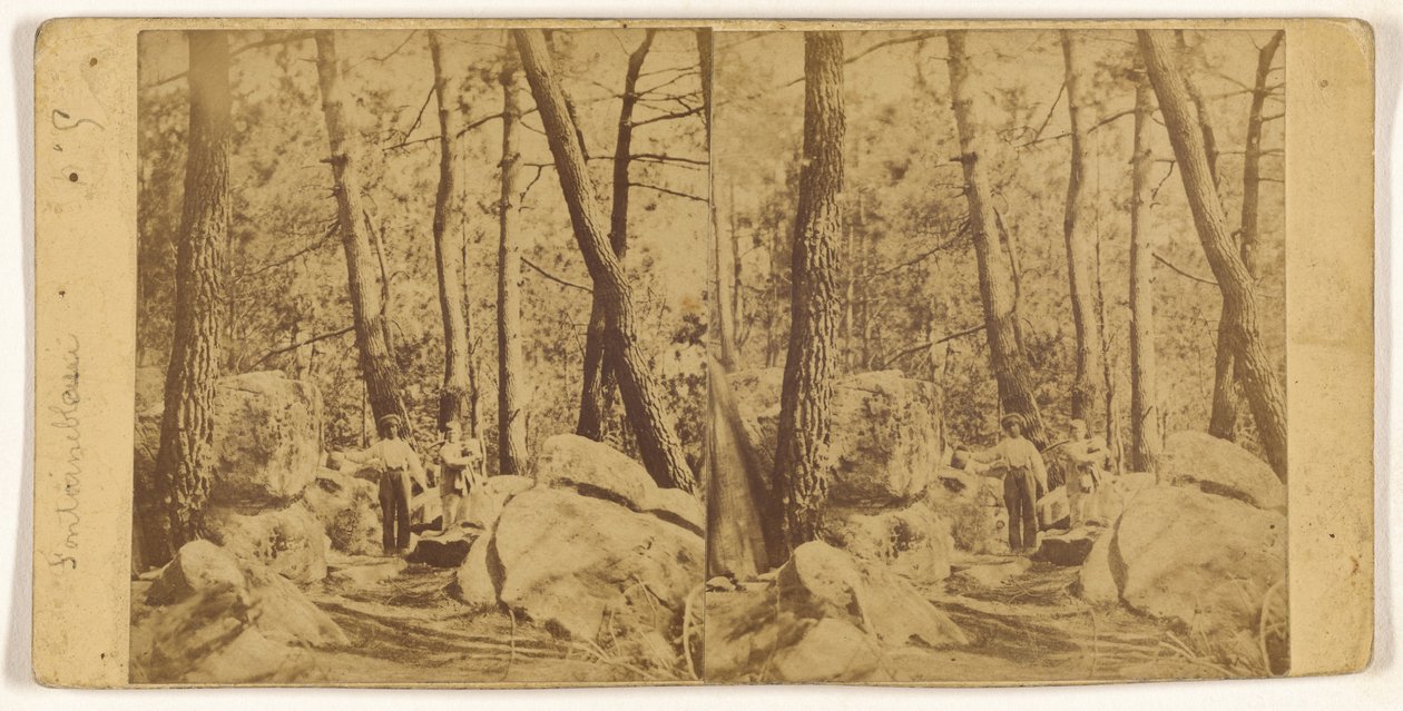 [Fontainebleau] autorstwa Unknown artist