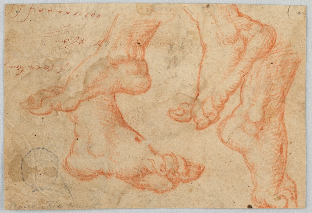 Cztery studia stopy autorstwa Unknown artist