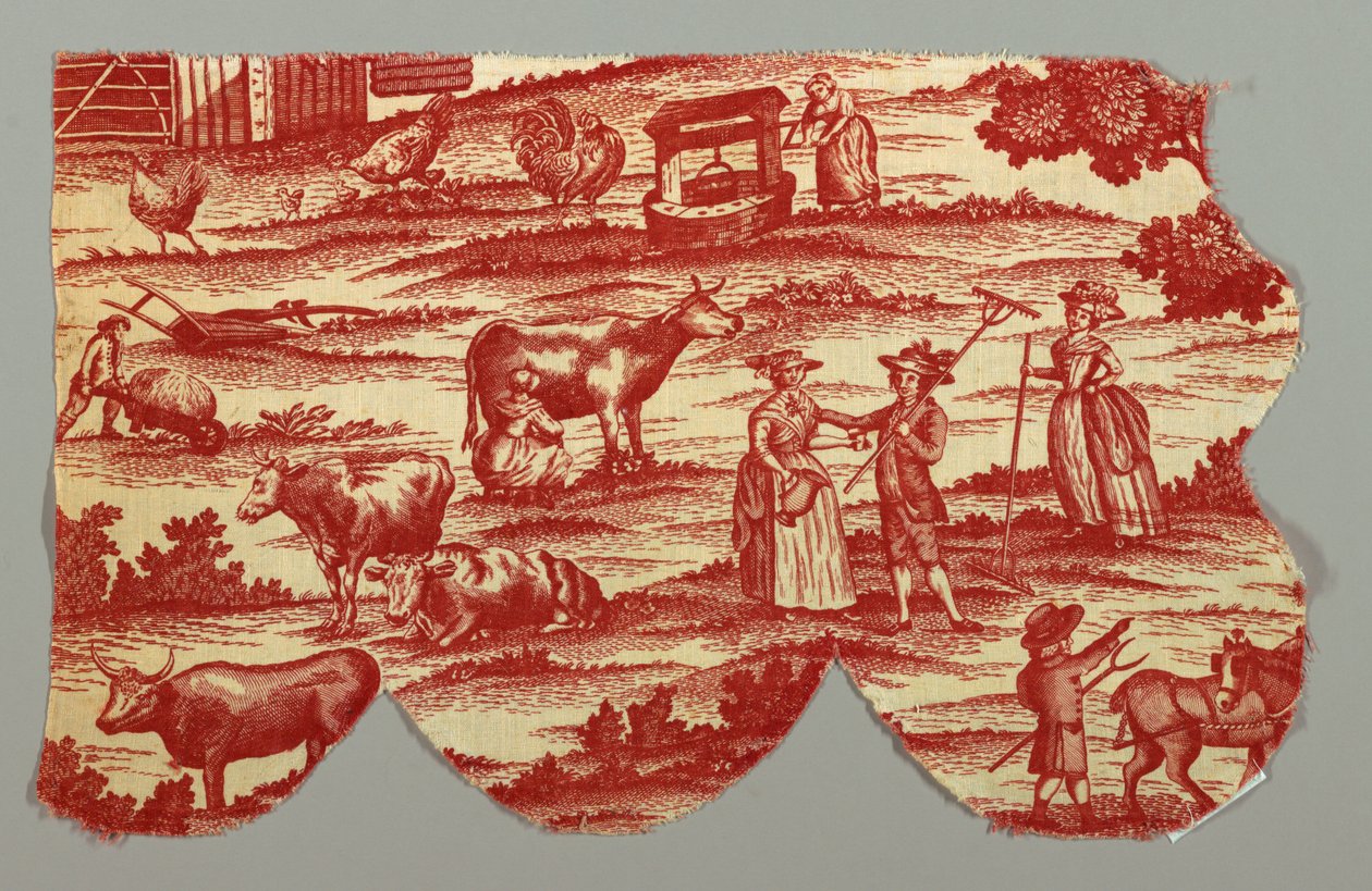 Paprochy autorstwa Unknown artist