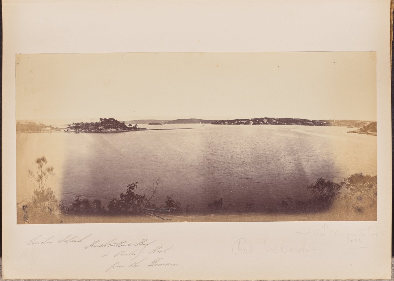 Garden Island, Rushcutters Bay i Darling Point z Domain autorstwa Unknown artist