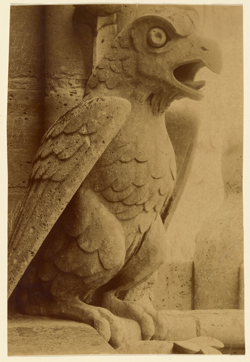 [Gargulec, Notre-Dame] autorstwa Unknown artist