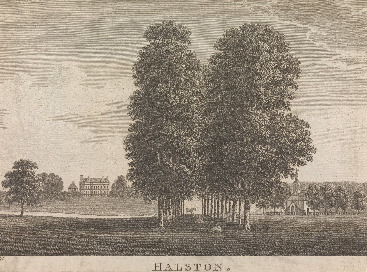 Halstona; strona 22 (tom drugi) autorstwa Unknown artist