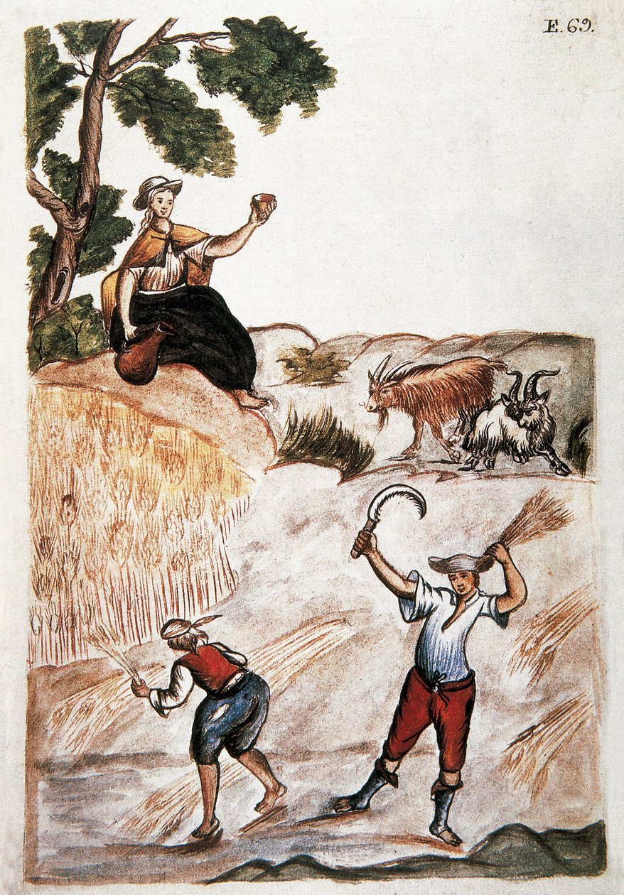 Żniwa, Indianie Peru pracujący na polach. Akwarela XVIII-wiecznego Madrytu. Biblioteca del Palacio Real autorstwa Unknown artist